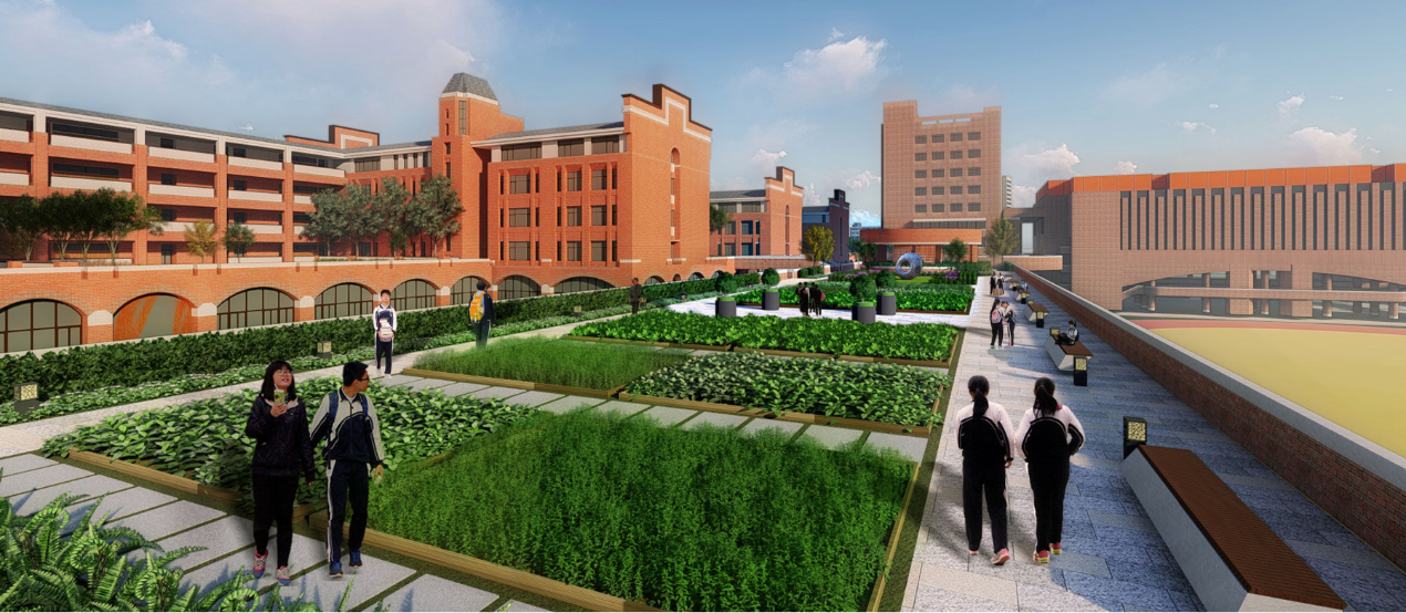 深圳市建筑工务署署长乔恒利一行出席深圳中学(泥岗校区)项目"攻坚 90