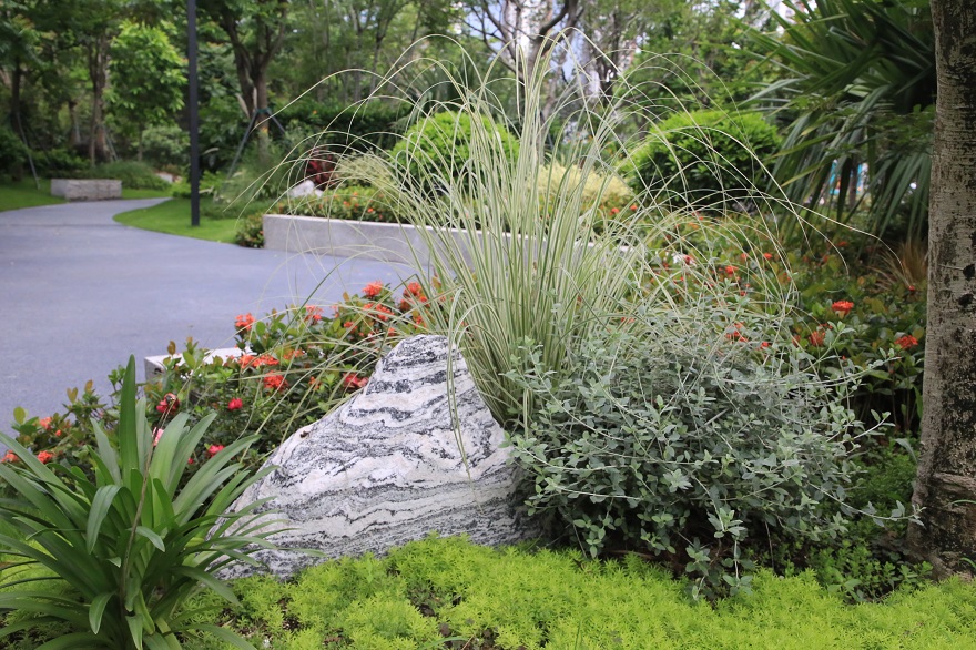 学府路南街心花园工程(小型建设工程预选库发包)