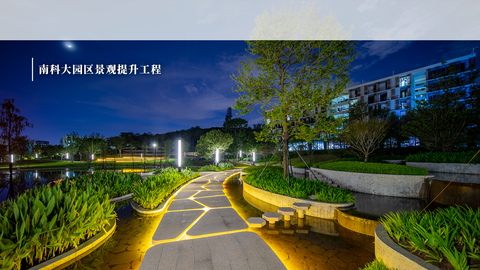 南科大园区景观提升工程
