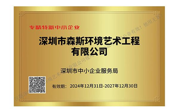 深圳市专精特新中小企业