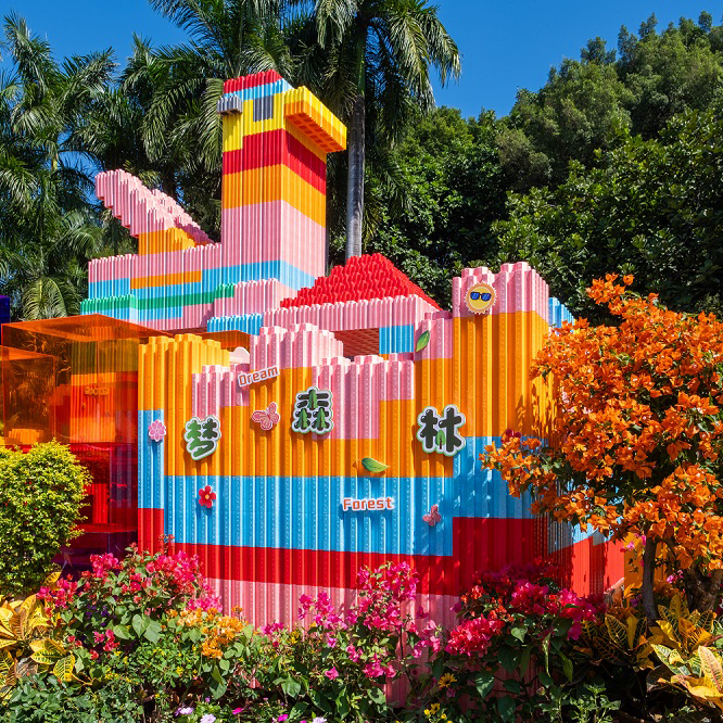 2024深圳簕杜鹃赏花周-梦森林